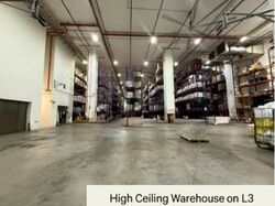Pandan Loop (D5), Factory #639837771